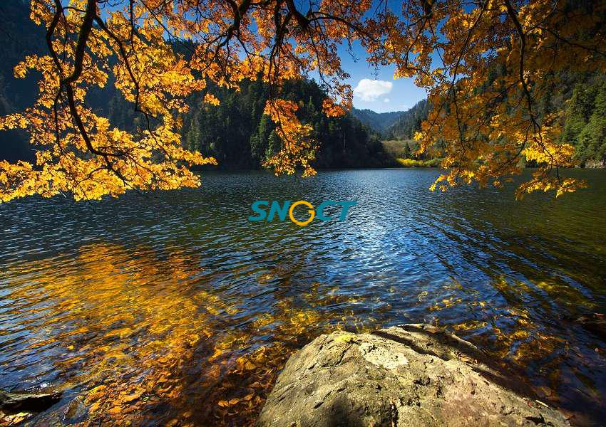 旅游規(guī)劃的主要類(lèi)型有哪些？