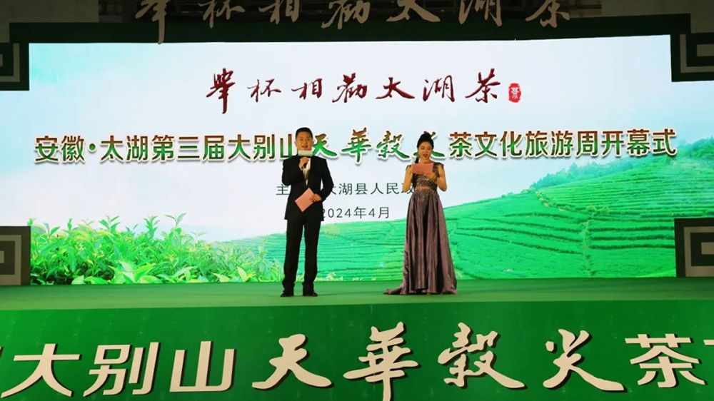 太湖縣第三屆大別山天華谷尖茶文化旅游周現(xiàn)場.jpg