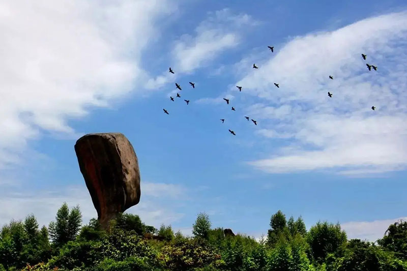 紅星生態(tài)園 紅星生態(tài)園.jpg