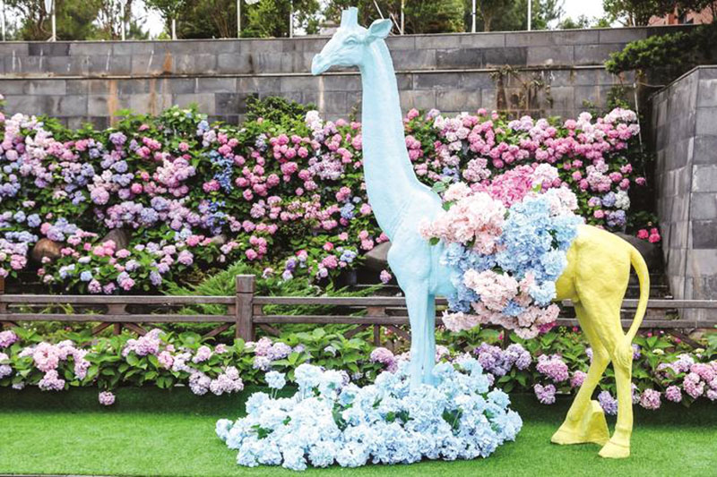 湖南：長(zhǎng)沙縣舉行首屆繡球花文化旅游節(jié)，以文旅融合助推鄉(xiāng)村振興發(fā)展之路！