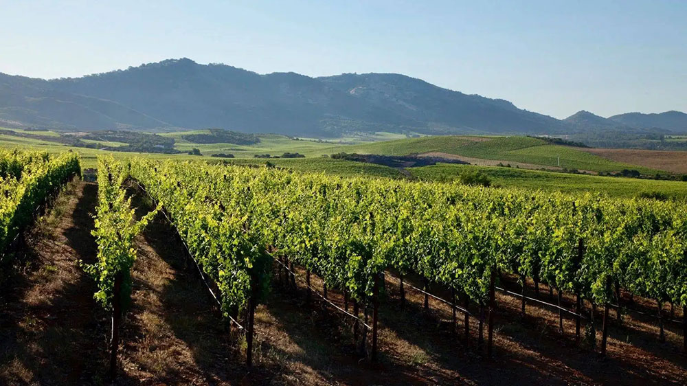 文旅動態(tài)：寧夏文旅廳出臺實施方案，多項舉措加快推進鄉(xiāng)村旅游高質(zhì)量發(fā)展！