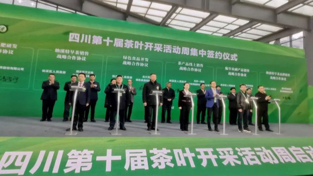 第十屆茶葉開(kāi)采活動(dòng)周啟動(dòng)儀式.jpg