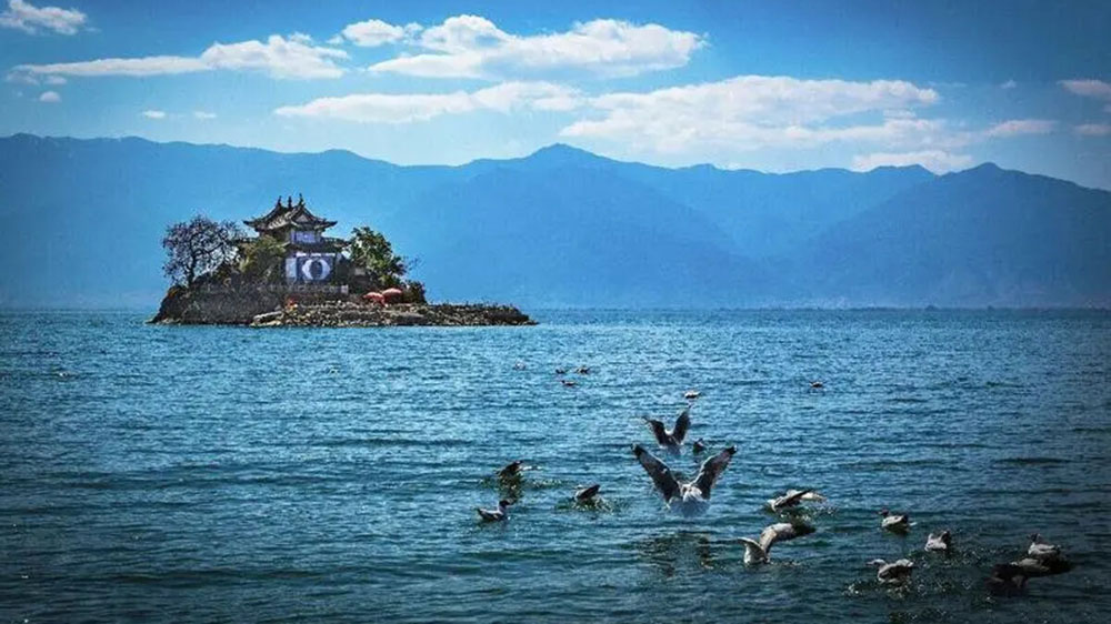 文旅動(dòng)態(tài)：云南省文化和旅游廳在四川設(shè)立招商辦，共謀旅游產(chǎn)業(yè)高質(zhì)量發(fā)展！