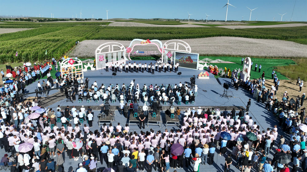 陜西：中國定邊第六屆紅花蕎麥文化旅游節(jié)開幕，探索產(chǎn)業(yè)融合發(fā)展模式，助力鄉(xiāng)村振興！