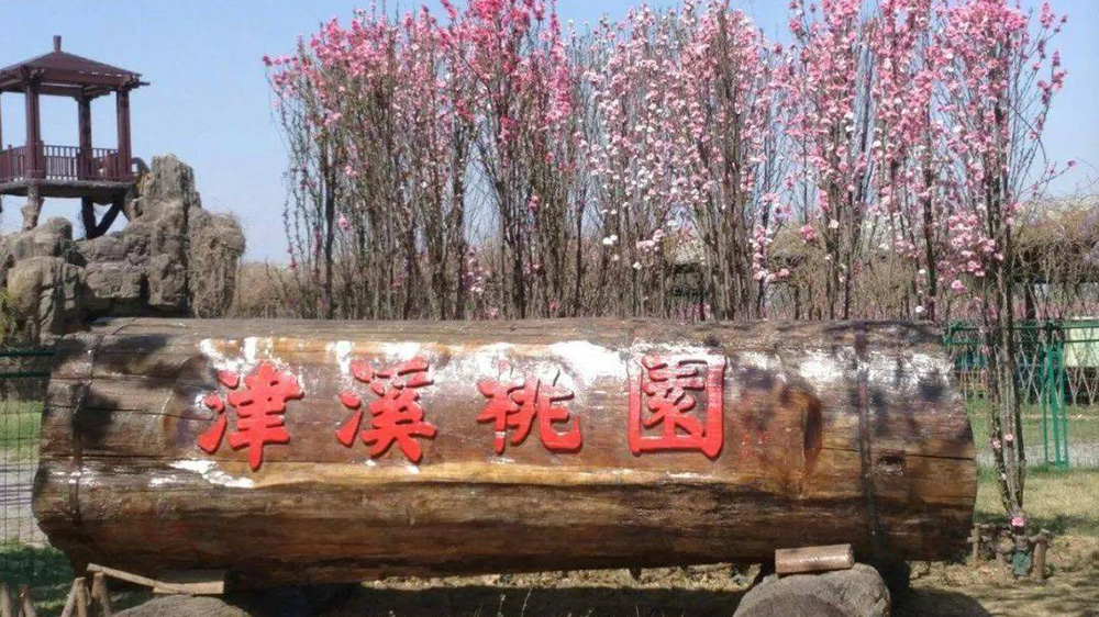 天津：第八屆津溪桃花文化節(jié)將于4月4日開幕，進一步加強時尚休閑旅游城市建設！