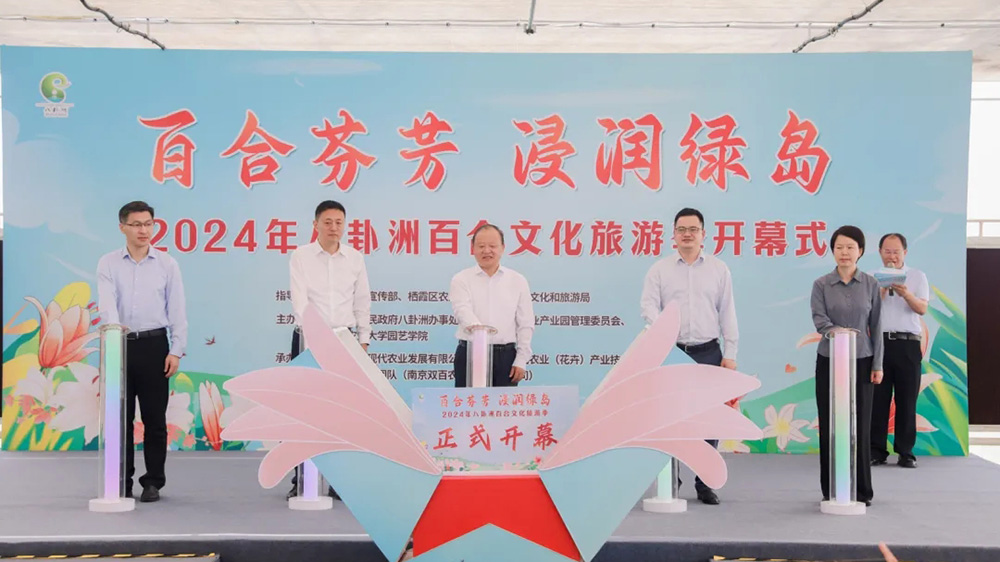江蘇：2024年八卦洲百合文化旅游季正式啟動(dòng)，進(jìn)一步助推八卦洲現(xiàn)代農(nóng)業(yè)產(chǎn)業(yè)振興！